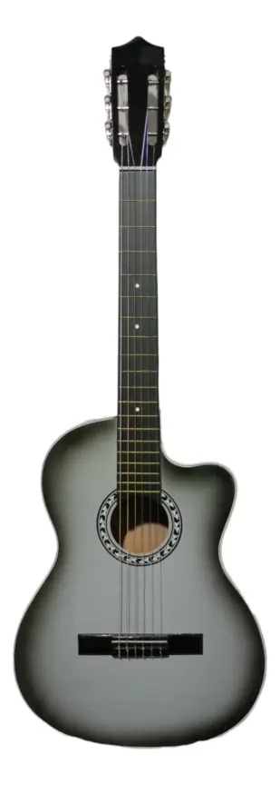Guitarra Clasica Canizares