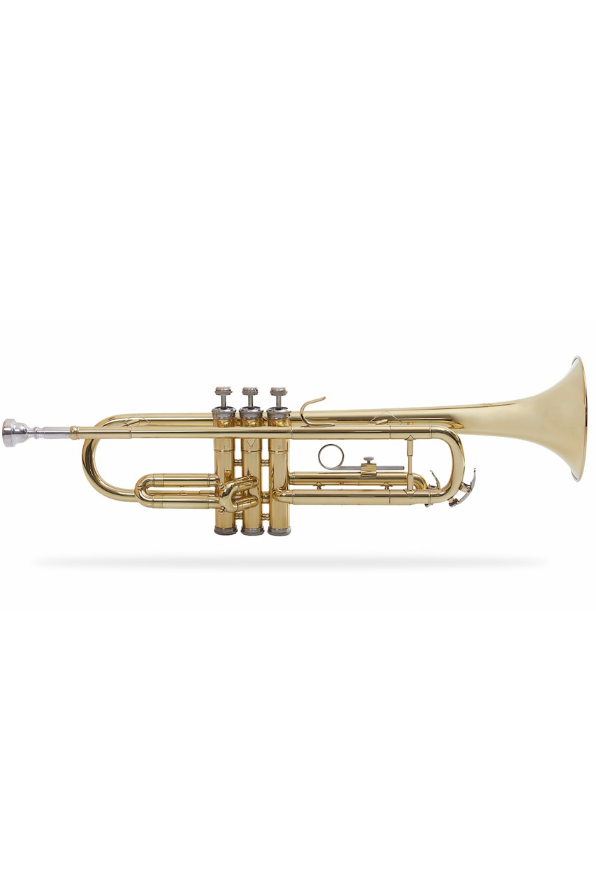 Trompeta Aileen TP8011G