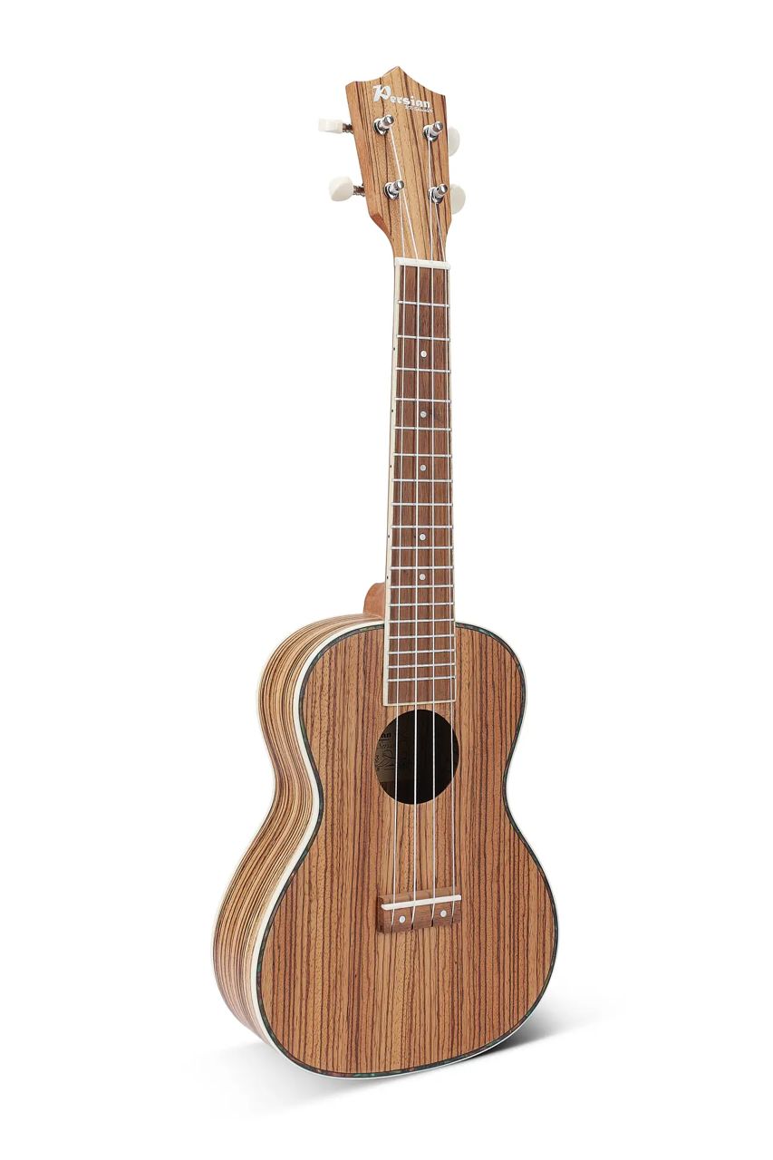 Ukulele Persian AU-H07A-23