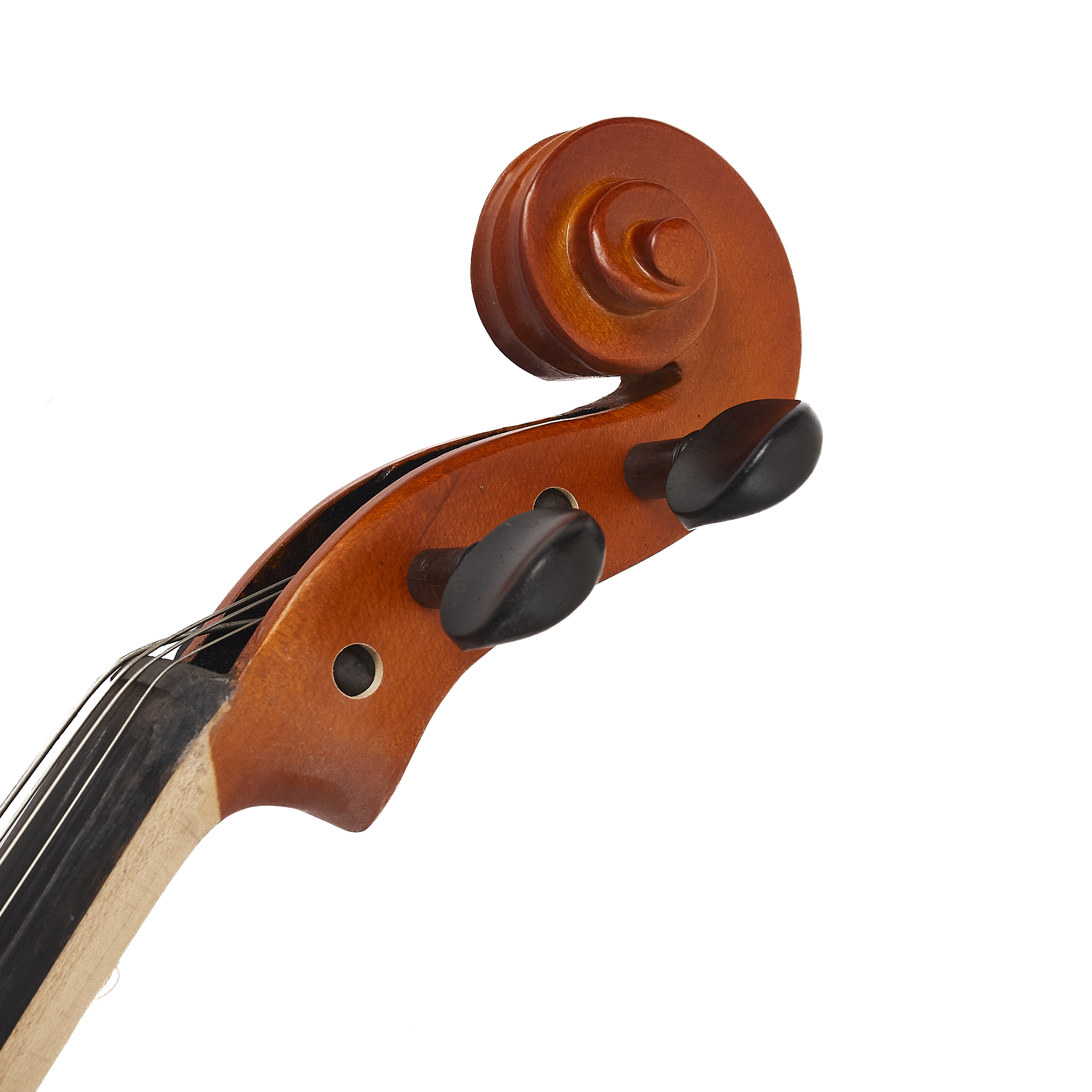 Viola Aileen LG103