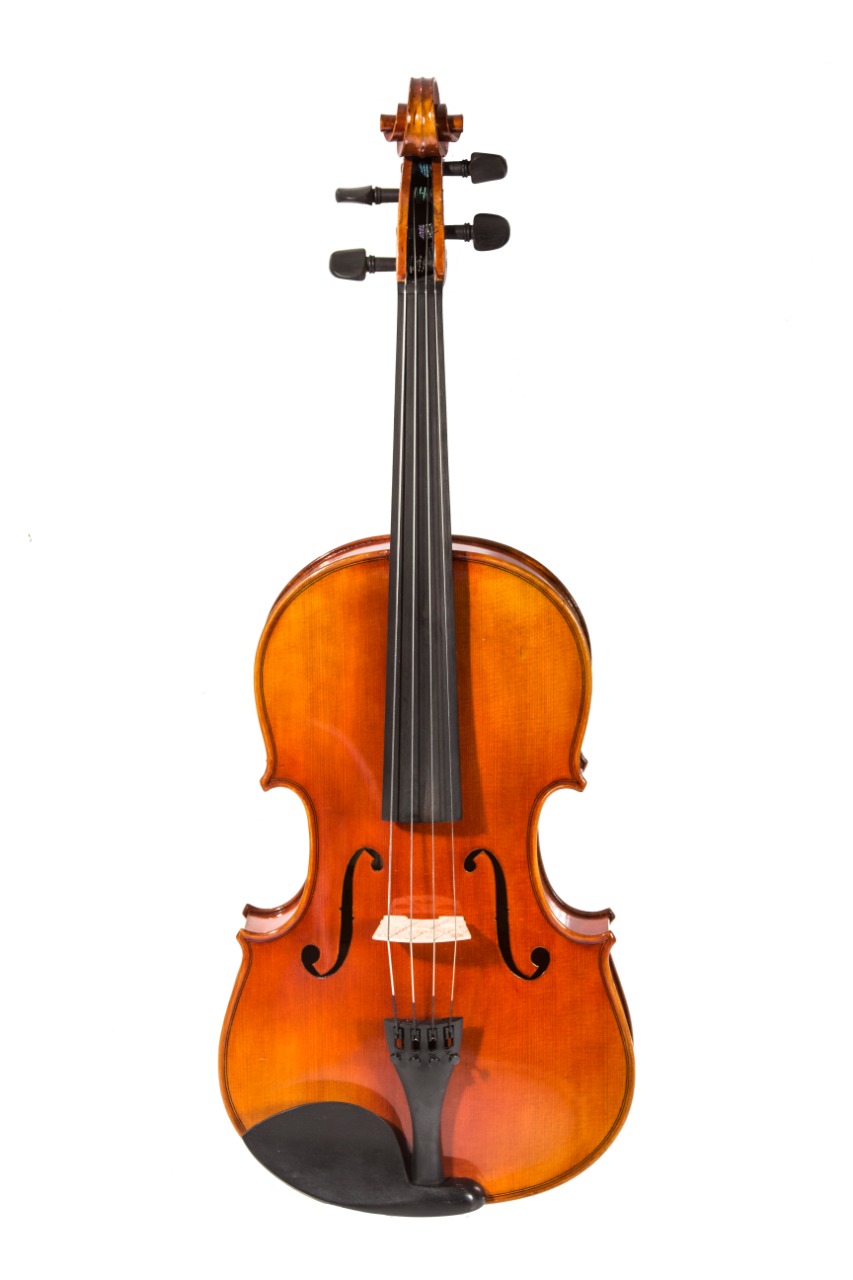Viola Aileen LH200Z