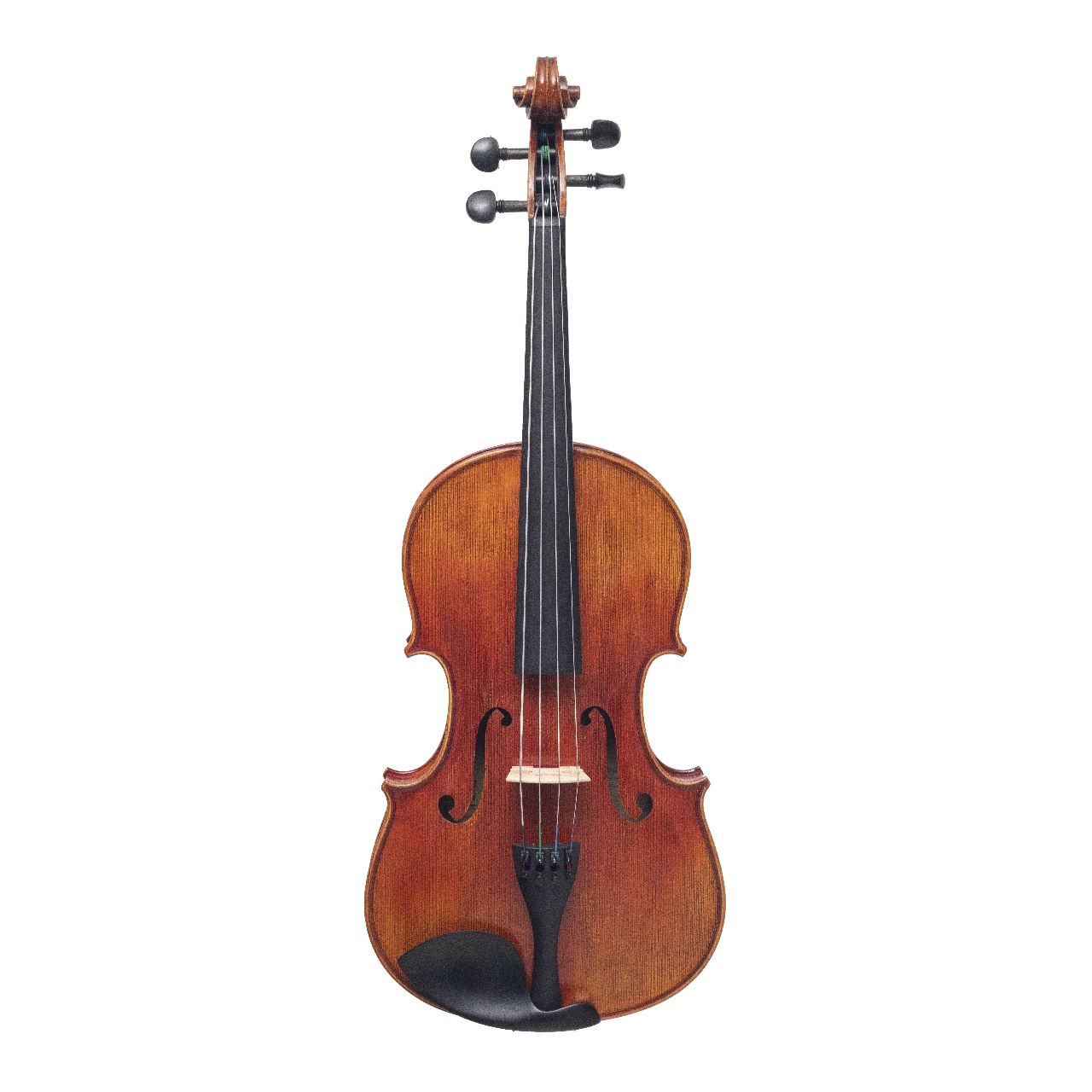 Viola Aileen LH500Z