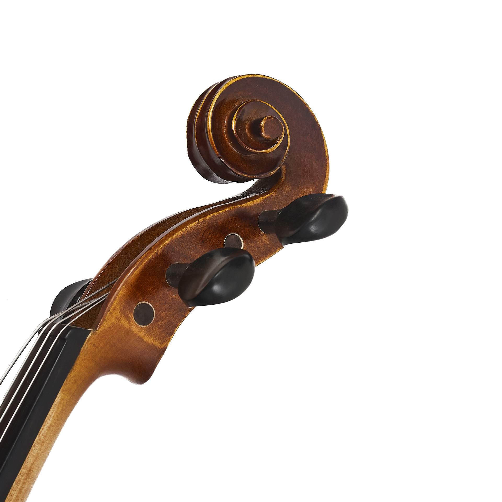 Viola Bellini M-crescendo