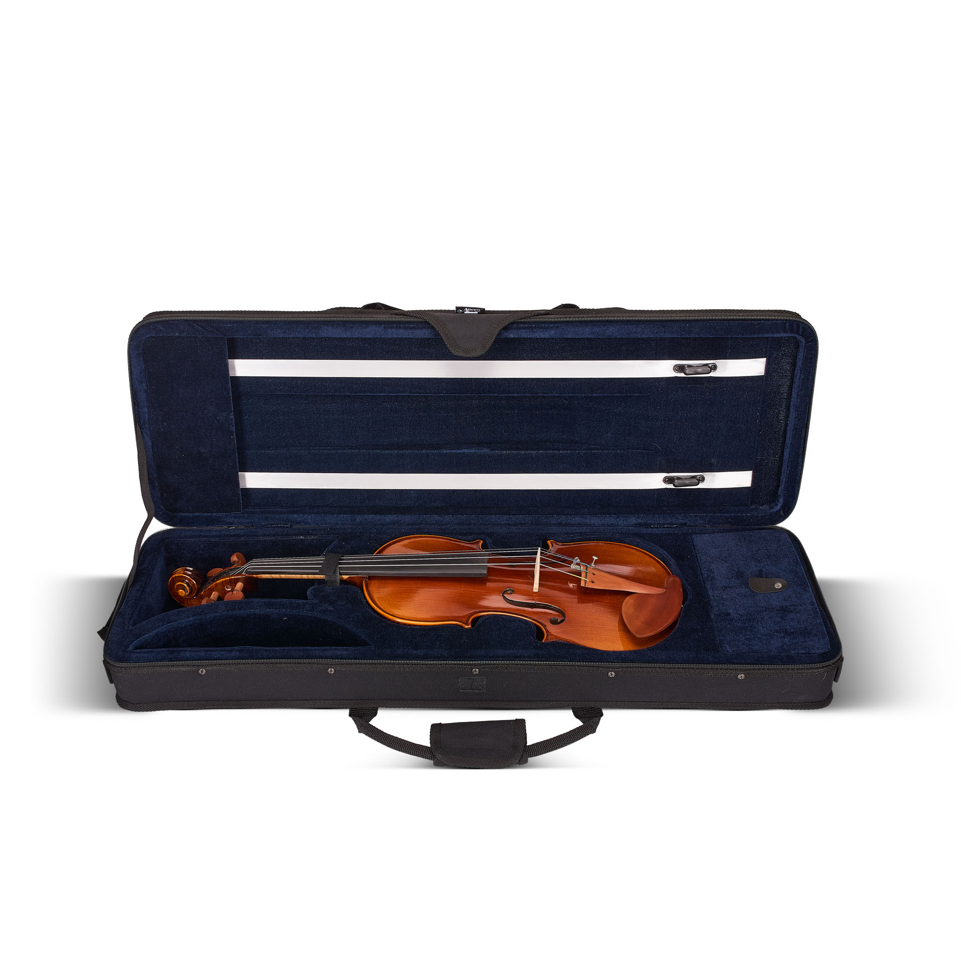 Violin Aileen VH100N