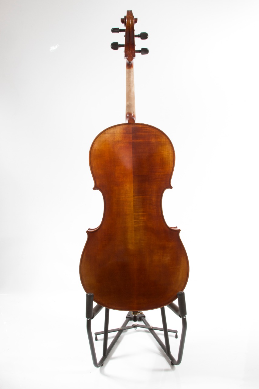 Violonchelo Aileen CH200Z